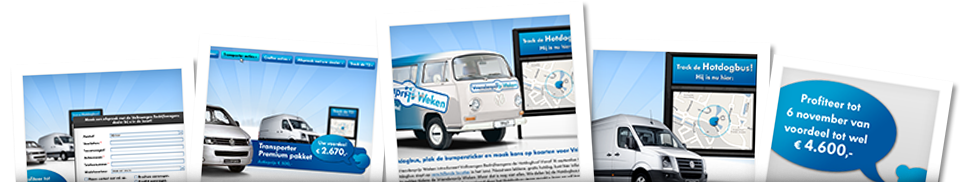 CAMPAGNEWEBSITE VOOR B2B?